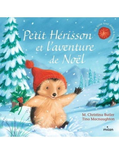 Livre- Petit hérisson et l'aventure de Noel