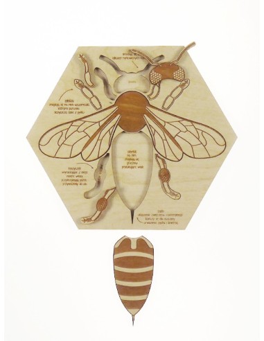 Stuka Puka Puzzle en Bois L'anatomie de l'abeille - Stuka Puka