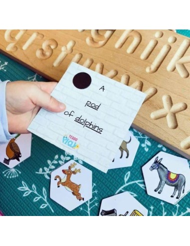 Set de 40 cartes d'apprentissage Les Groupes d'animaux en Anglais - Teddo Play