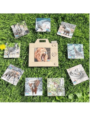 Set de 40 cartes d'apprentissages en Anglais Les cris des animaux - Teddo Play