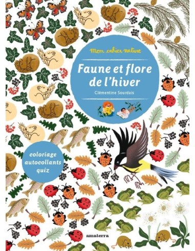 Cahier d'activités Mon cahier Nature la Faune et la Flore de l'Hiver - Editions Amaterra