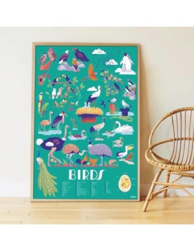 Poppik Poster Les oiseaux